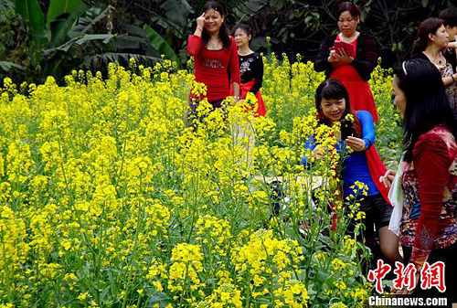 ���ݰ���ɽ�羰���ͻ����������� 