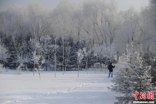 ���壺������ͷ����ڡ���� �����ɾ� 