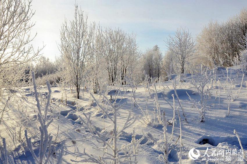 踏雪寻雾凇【6】