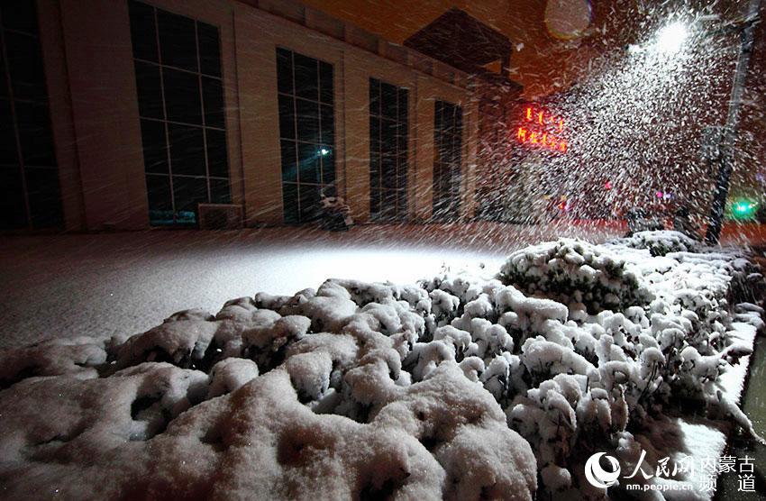 内蒙古阿拉善盟十月飘雪 气温骤降--内蒙古新闻