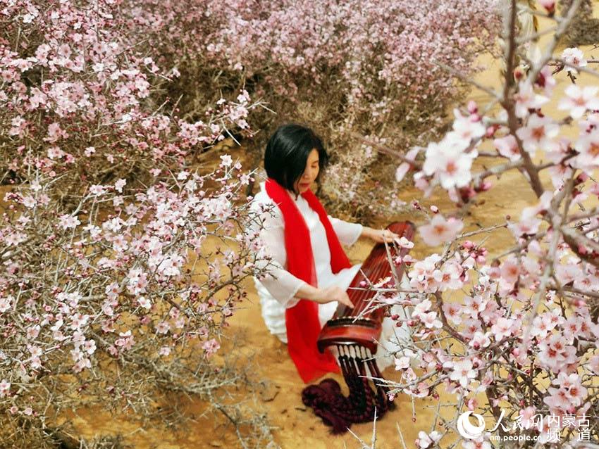 4月6日，游人在桃花丛中弹奏古琴。