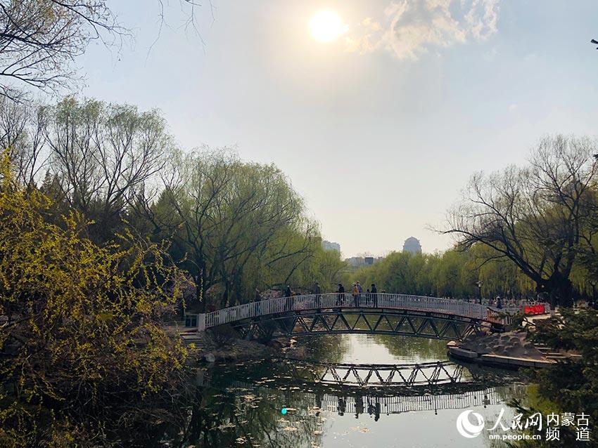 公園的橋上人來人往。哈布拉 攝