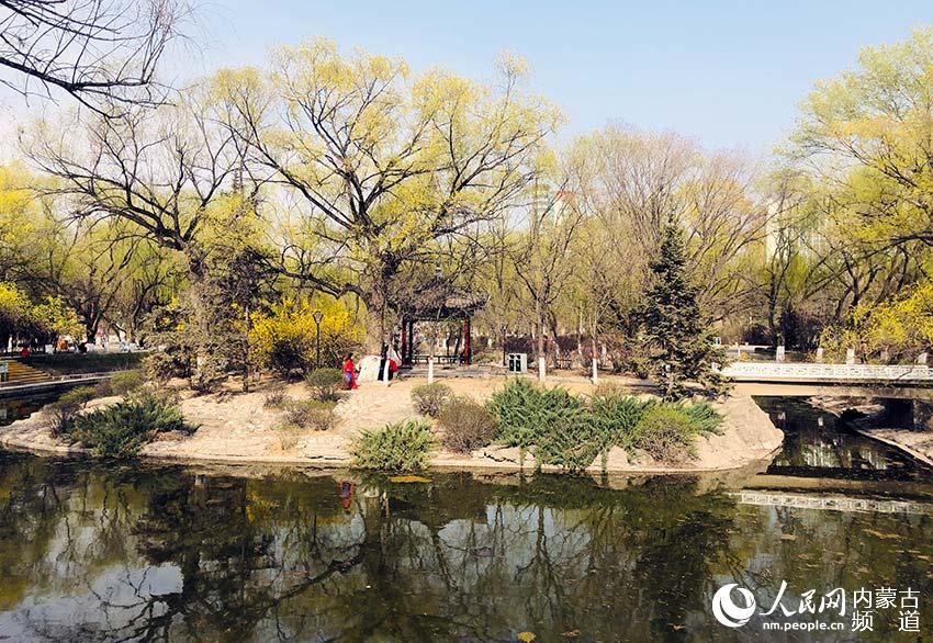 公園裡一處風景。哈布拉 攝