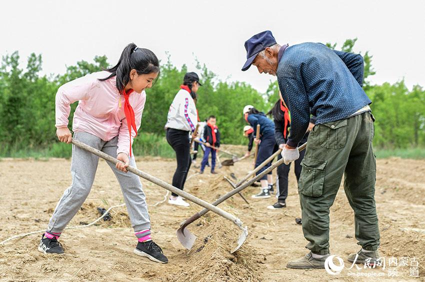���ͺ�������������մ��̵�Сѧѧ����ũ�񲮲���ָ����ѧϰ��¢���ա�