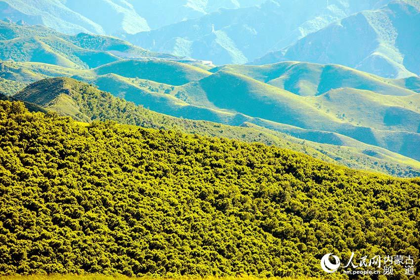 航拍呼和浩特大青山美景。樂炎 攝