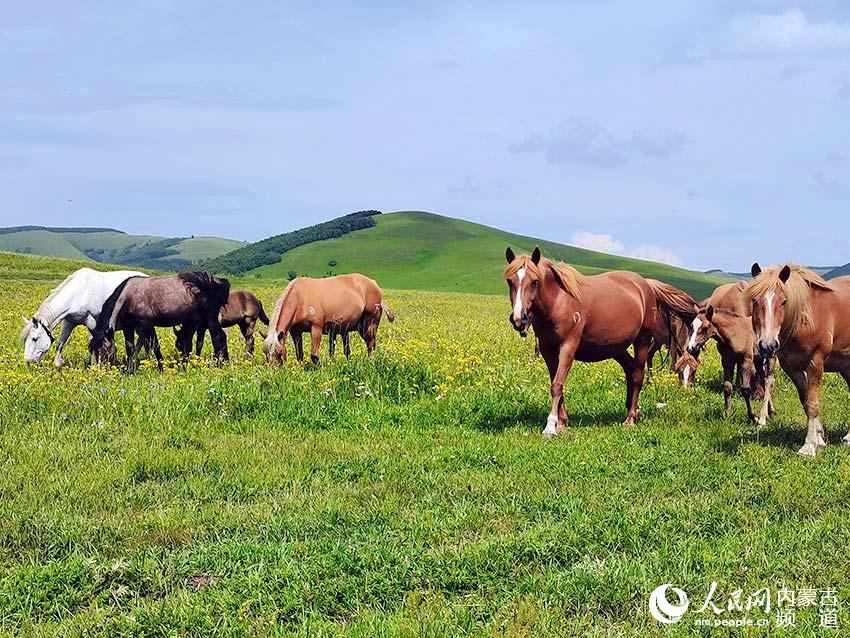 ����������ͳ��ԭ�����续��6��