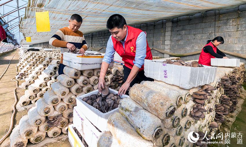 ��Ա־Ը���ں��ͺ�������Ȫ��������ͼ��ũҵ��ֲ԰���ڰ���ũ�񽫲�ժ��Ģ��װ�䣬��Ӧ�����г���