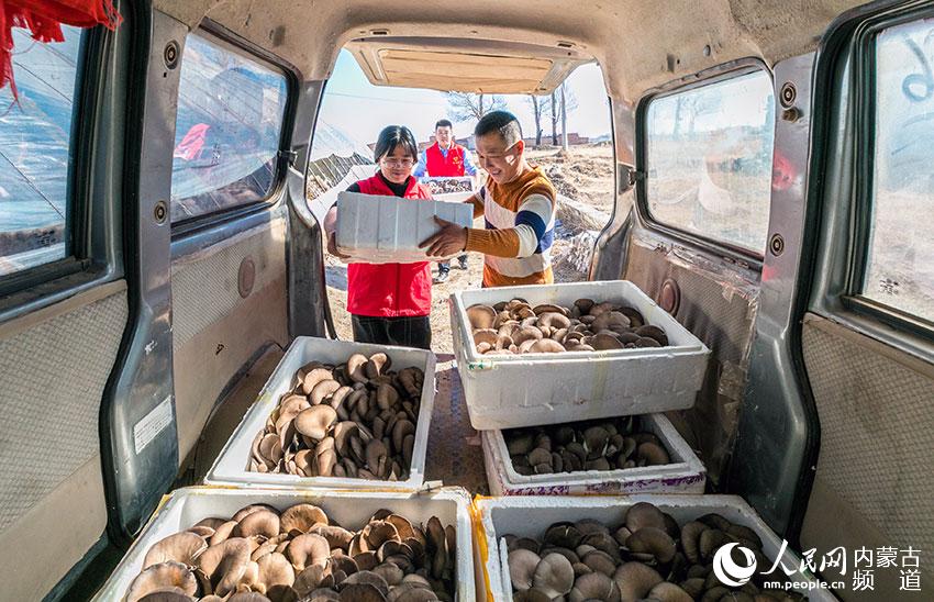 ��Ա־Ը���ں��ͺ�������Ȫ��������ͼ��ũҵ��ֲ԰���ڰ���ũ�񽫲�ժ��Ģ��װ����