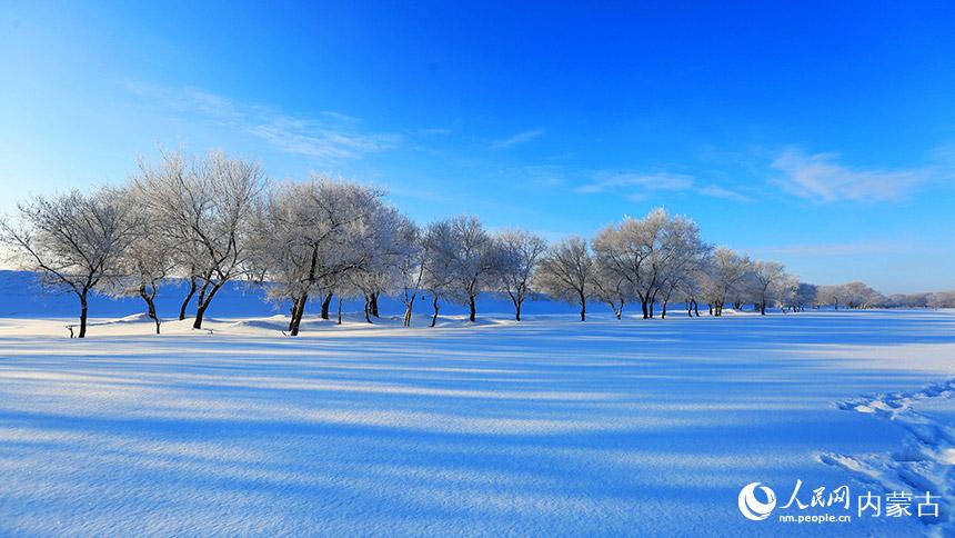 呼倫貝爾的冬季美景。蔣希武攝