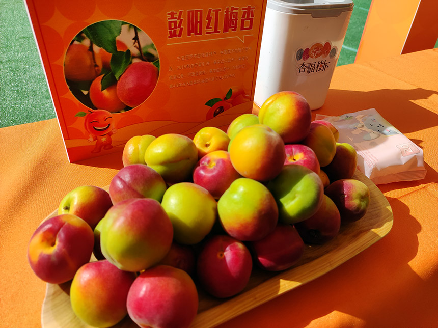 各色品种的大杏琳琅满目。人民网 王慧摄