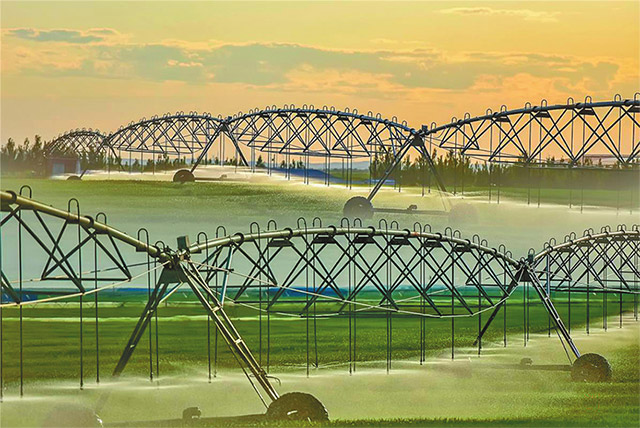 百万亩优质牧草核心区节水灌溉现场。