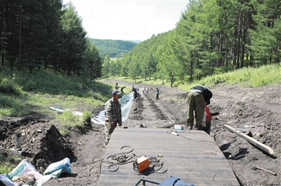 工人们加紧修建“氧心”森林浴道。