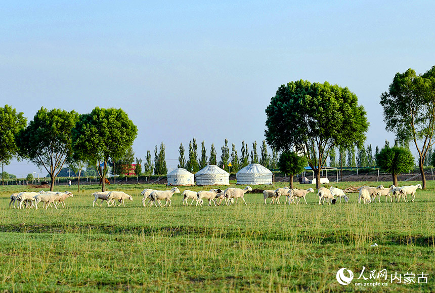 巴彥希泊日草原美景。王正攝