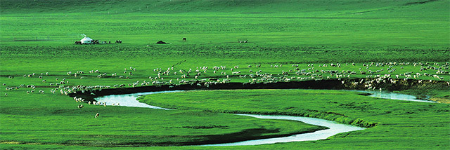 夏季的锡林郭勒草原。锡林郭勒盟委宣传部提供