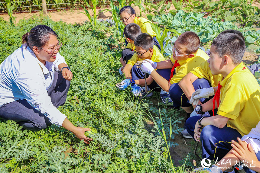 老师与学生在田间开展问答课堂,互动中学生们充分了解西瓜的种植技巧。乌力更摄