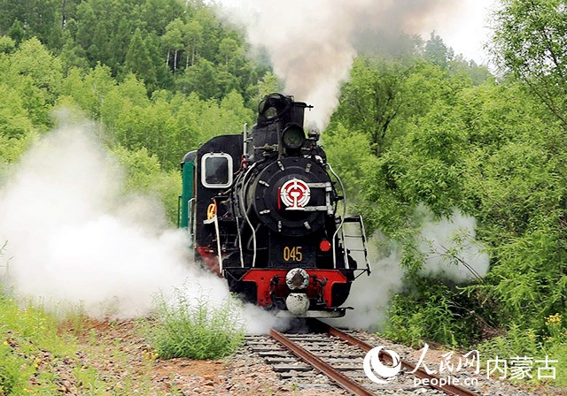 森林蒸汽机小火车。栾维敬摄