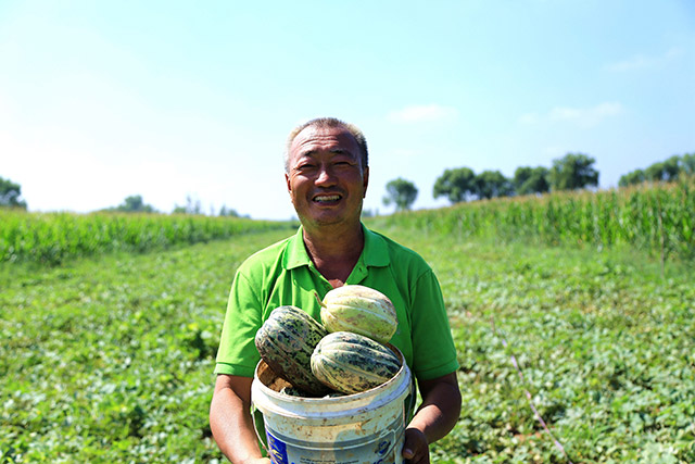 托克托縣黃河濕地管護中心下沙拉湖灘村民展示紅泥地香瓜。烏力更攝