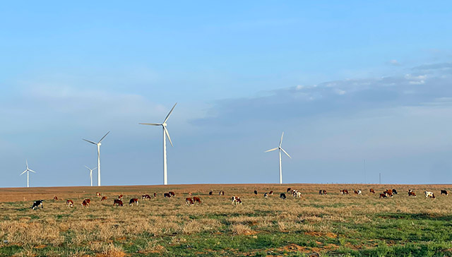 一座草原上的风力发电站