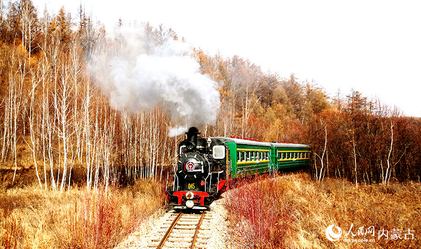森林蒸汽機小火車帶著游客穿越秋天美景。欒維敬攝