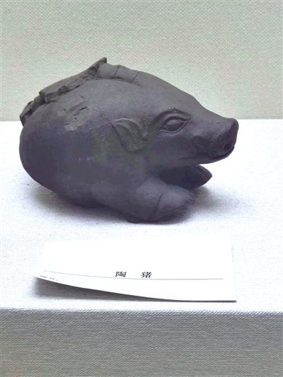 哈民遗址出土的陶猪。