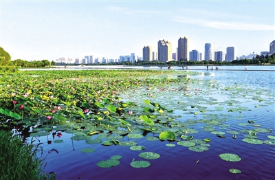 遼河公園一角。張啟民 攝