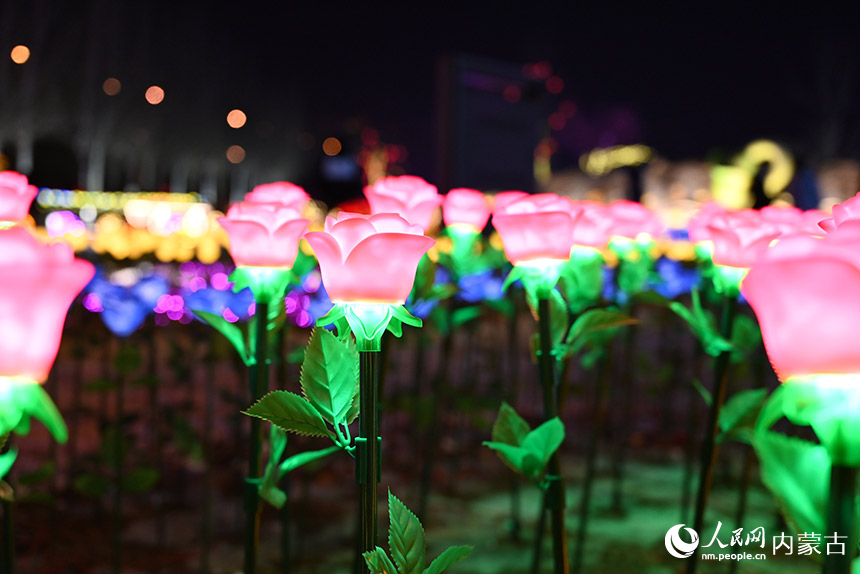 小草公园夜景。人民网 刘艺琳摄