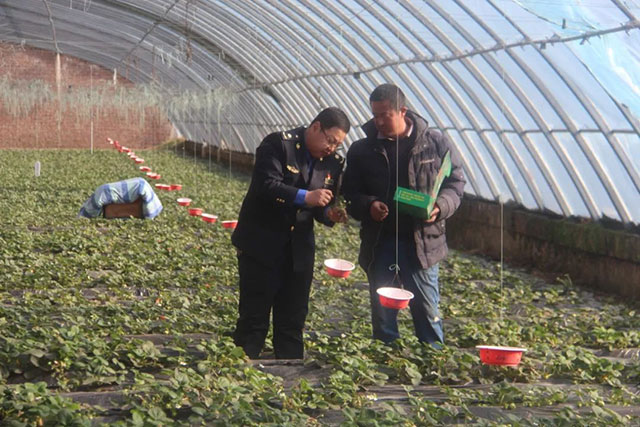 王浦旭正在大棚教授农户种植技术。赵冬霞摄