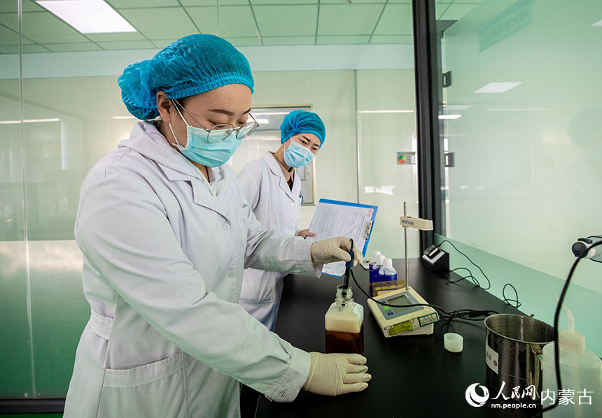 2月8日，在呼和浩特市玉泉区的内蒙古金源康生物工程有限公司实验室，检测员在检测新生牛血清pH值。丁根厚摄