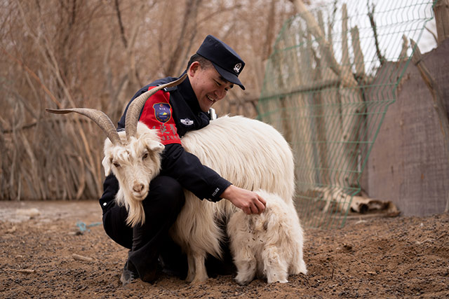 民警帮助羔羊喝上“初乳”。