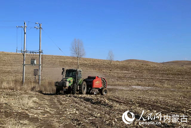 在乌兰浩特市田间地头，捆草车在田地里穿梭作业。嘉美摄