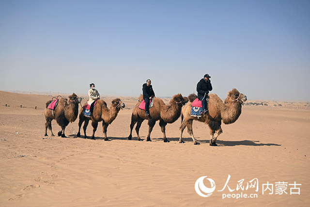 游客在通湖草原骑着骆驼。人民网记者 白建平摄