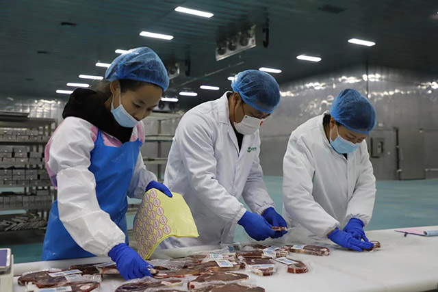 农畜产品屠宰加工忙。曾令刚摄