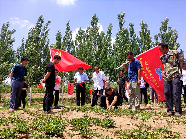 新城子镇新时代文明实践志愿服务队深入田间地头开展中药材种植技术培训