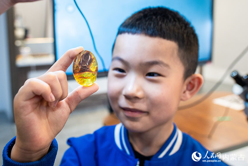 孩子们在位于内蒙古呼和浩特市玉泉区的神凫琥珀展馆内观看琥珀化石。丁根厚摄