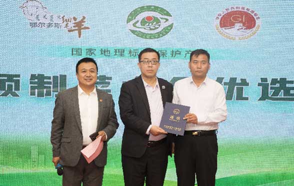 鄂爾多斯細毛羊榮獲“世界預制菜大會優選食材”榮譽