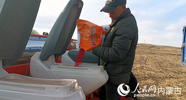 兴川大豆种养殖专业合作社的工作人员正在种植玉米。郑明摄