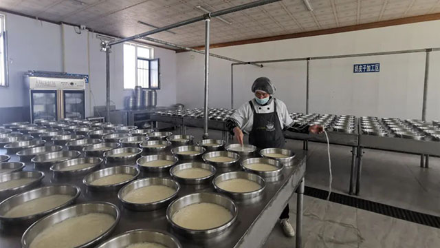 工作人员正在加工车间制作奶制品。
