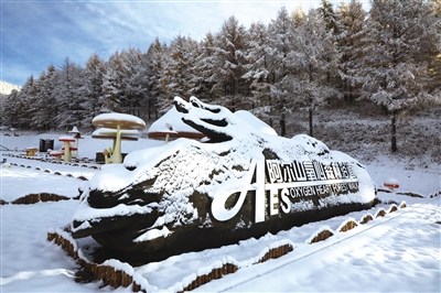 阿爾山氧心森林浴道。