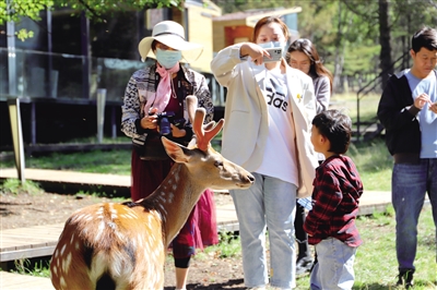 游客與小動物近距離接觸。