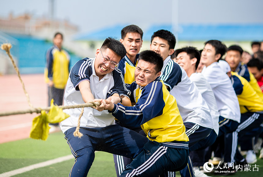 呼和浩特市第十二中学高三年级学生在进行拔河比赛。丁根厚摄