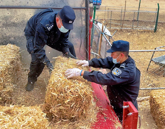 民警们帮助牧民卸草料。