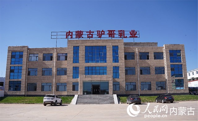 內蒙古驢哥乳業有限公司。實習生 秦一凡攝