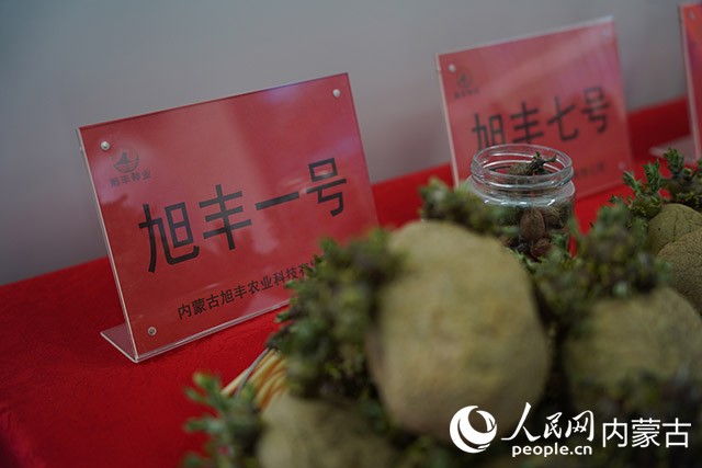 內蒙古旭豐農業科技有限公司“旭豐一號” 。實習生 秦一凡攝