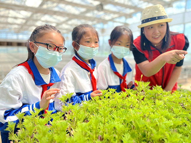 学生们参观育苗智能大棚，近距离观察不同生长阶段的蔬菜花苗