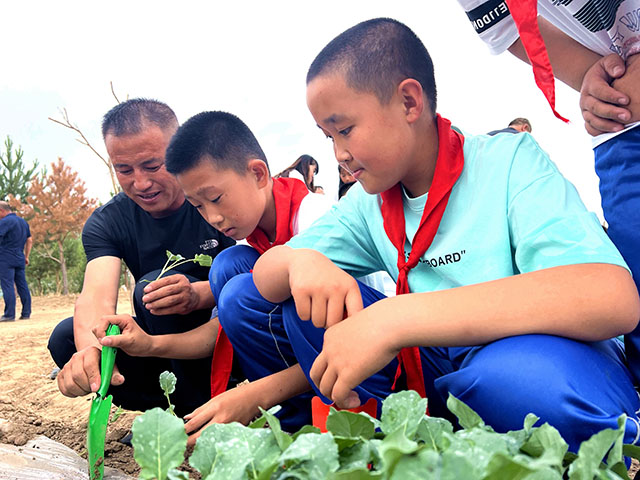 学生们体验种植西蓝花