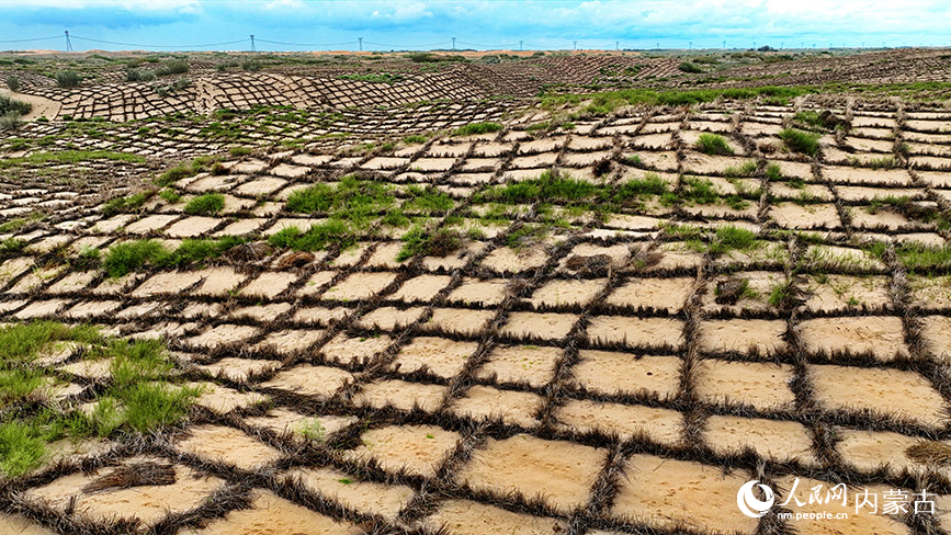 8月12日,在赤峰市翁牛特旗乌白路科尔沁沙地拍摄的防沙治沙综合区。李富摄