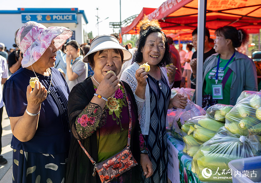 人们在呼和浩特市玉泉区前八里庄村鲜食玉米丰收节上品尝鲜食玉米。丁根厚摄