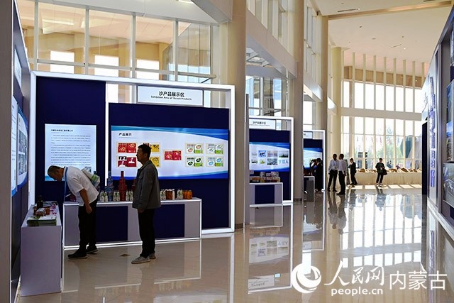 开幕式场外，与会嘉宾参观沙产品展示区。人民网 刘艺琳摄