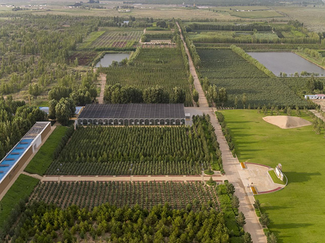 亿利集团在库布其沙漠建立中国西部珍稀濒危植物种质资源库，培育、驯化、扩繁了1000多种植物，并发明100多项生态种植技术。内蒙古自治区生态环境厅供图