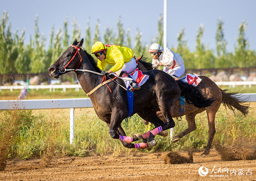 9月10日，選手在1000米4歲及以上純血馬速度賽馬比賽中。丁根厚攝